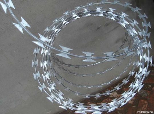 Electro-Galvanized Iron Wire Concertina Razor Barbed Wire Fencing